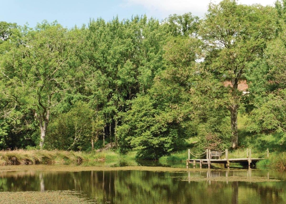 Mill Meadow Lodges Llanbister Exterior foto